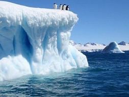 Expedition to Antarctica for Sustainable Change