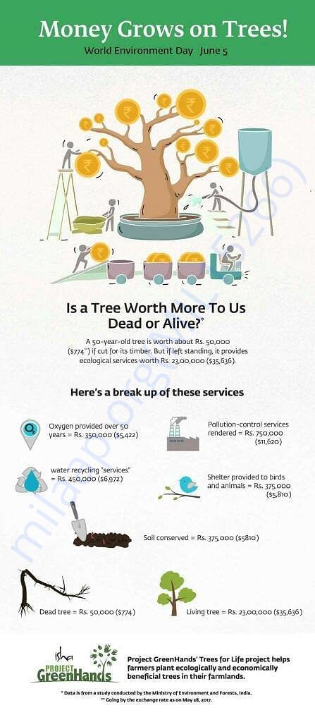 A tree is more worthy than you think!!