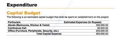 Capital Budget Expenditure