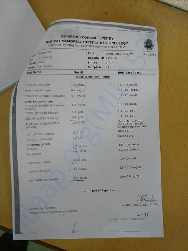 Test Reports