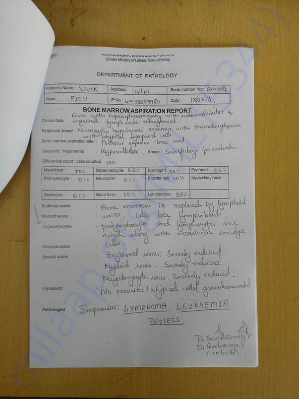 Test Reports