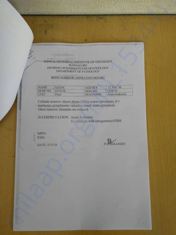 Test Reports