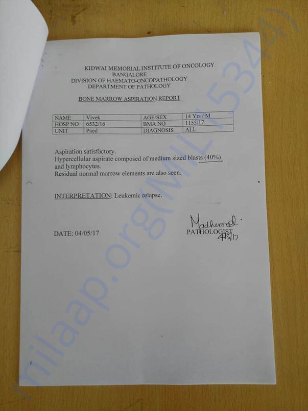 Test Reports