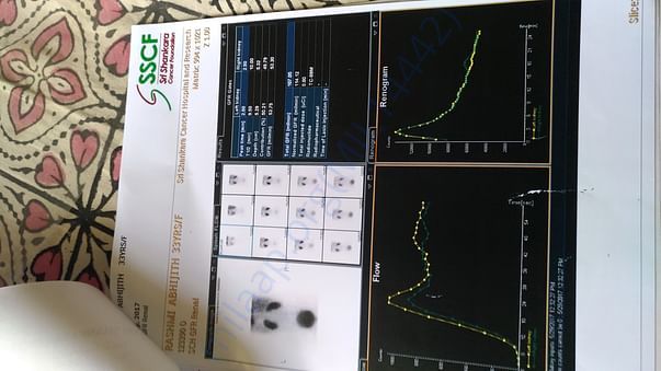 renogram report 1