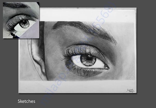 SKETCHES