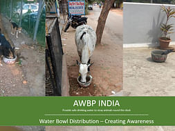 Support Animals Water Bowl Project (AWBP) INDIA