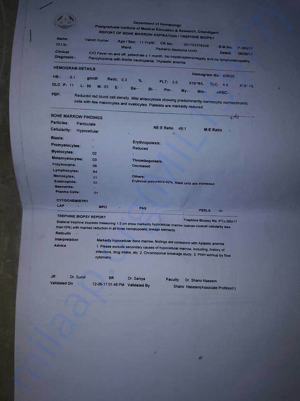 Report of Bone Marrow
