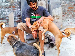 Help Shanmuga Sundaram to pay vet bills for his rescued Animals