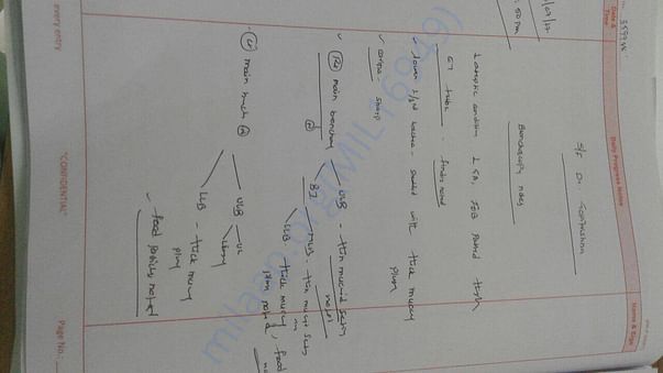 Daily progress, doctor reports