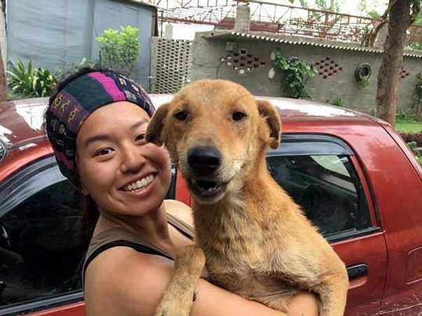 Help Bhoora Fly To His Forever Home