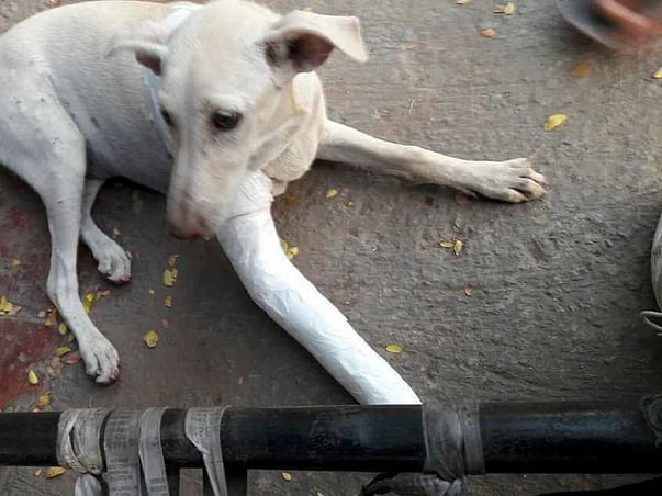 An Accident Has Crippled Gauri And She Needs Help To Run Again
