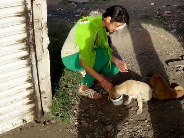 Help Us Build A Rehab Center & Treatment Unit For Stray Animals