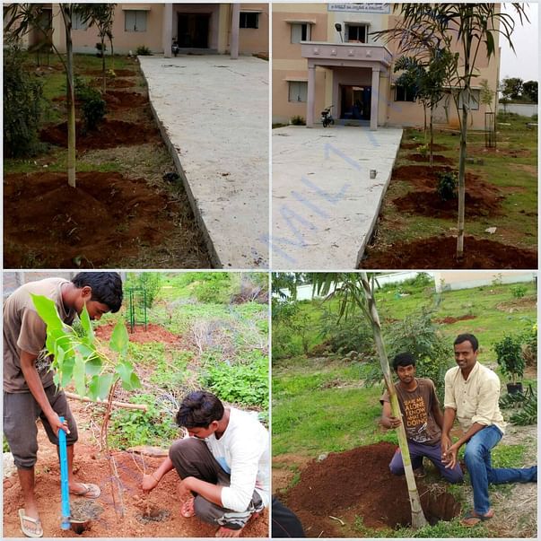 Plantation works which need fencing