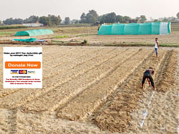 Help Me Educate People And Break The Myth On Organic Farming