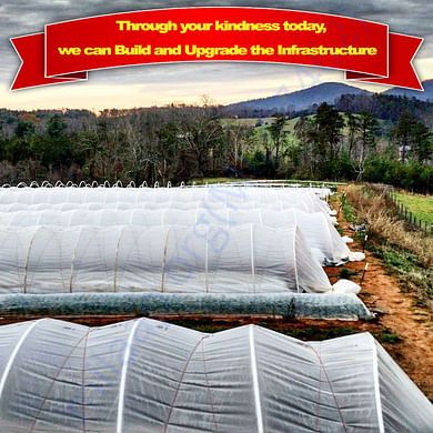 Pretty Poly Tunnels