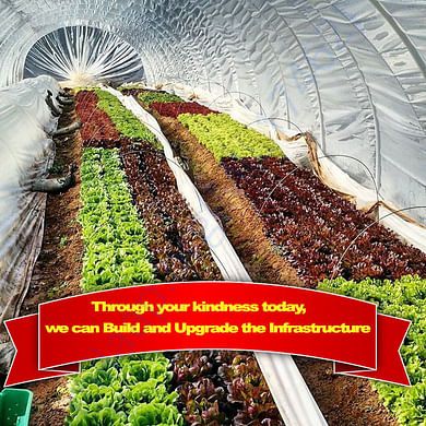 Inside Pretty Poly tunnels