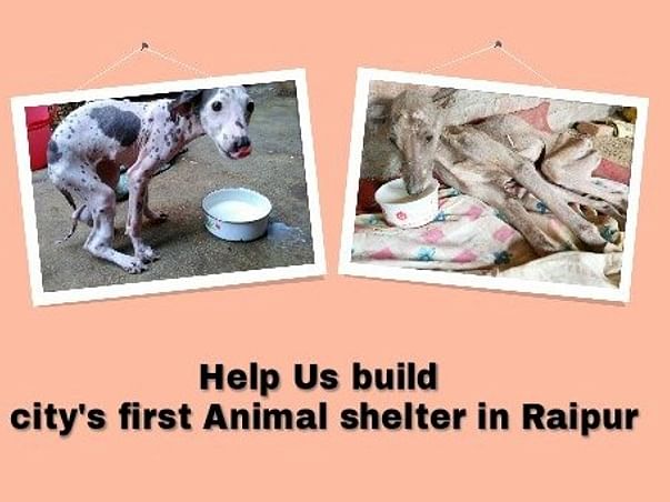 Help Us Build City's first Animal shelter in Raipur, Chhattisgarh