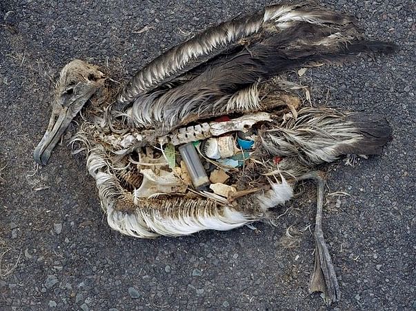 Support 'The Planet' If You Care About Our Planet