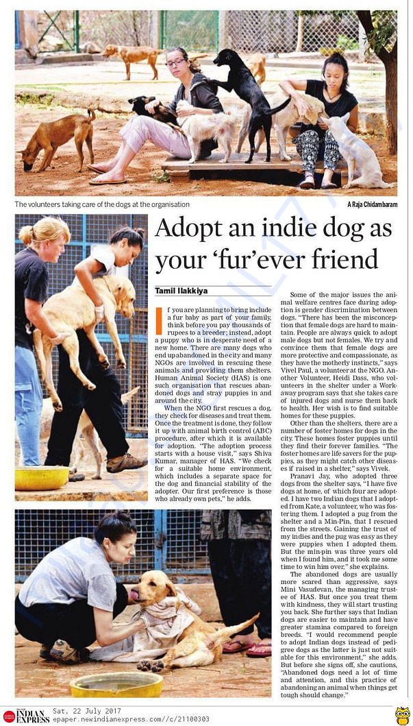 Our Work in the News