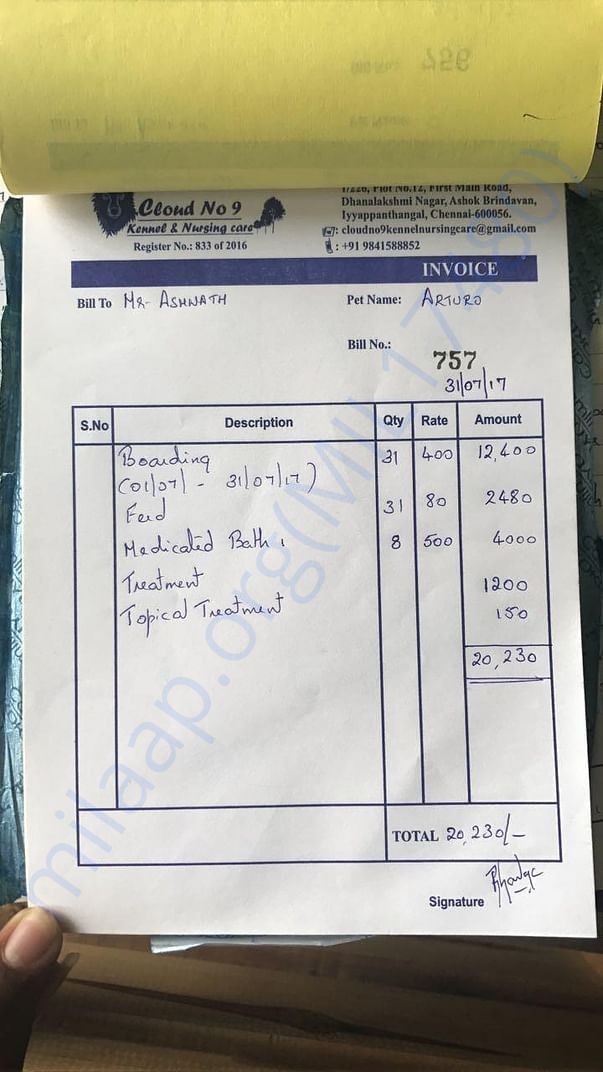 Bill of Arturo for July 2017