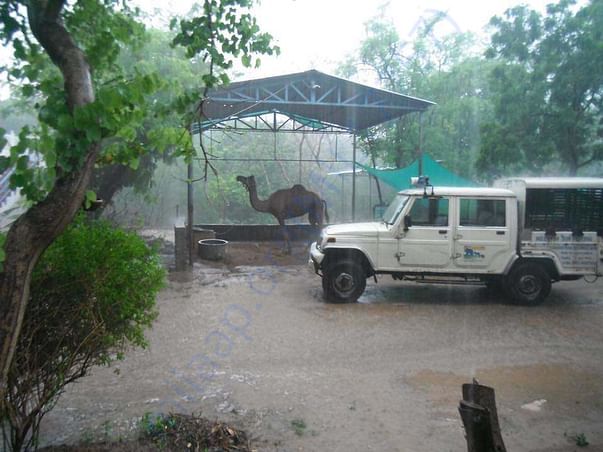 HIS campus during monsoon.