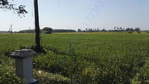 Agricultural land