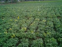 Save dryland farmers - make agriculture possible in drought.