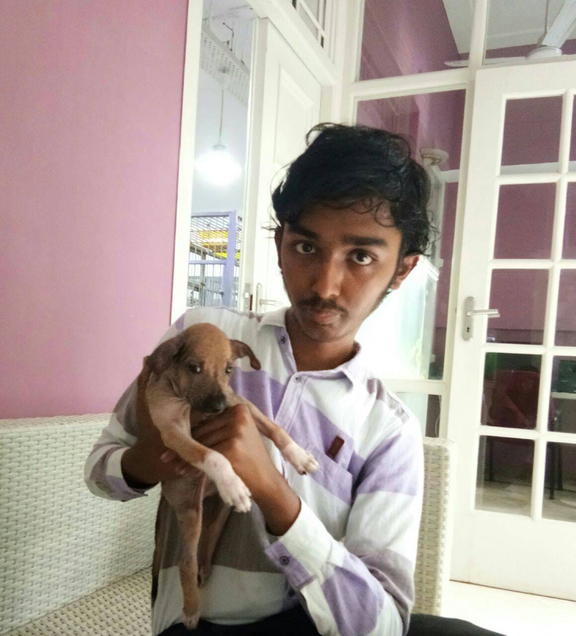 Help Sai Vignesh Pay The Vet Bills For His Rescued Animals Milaap