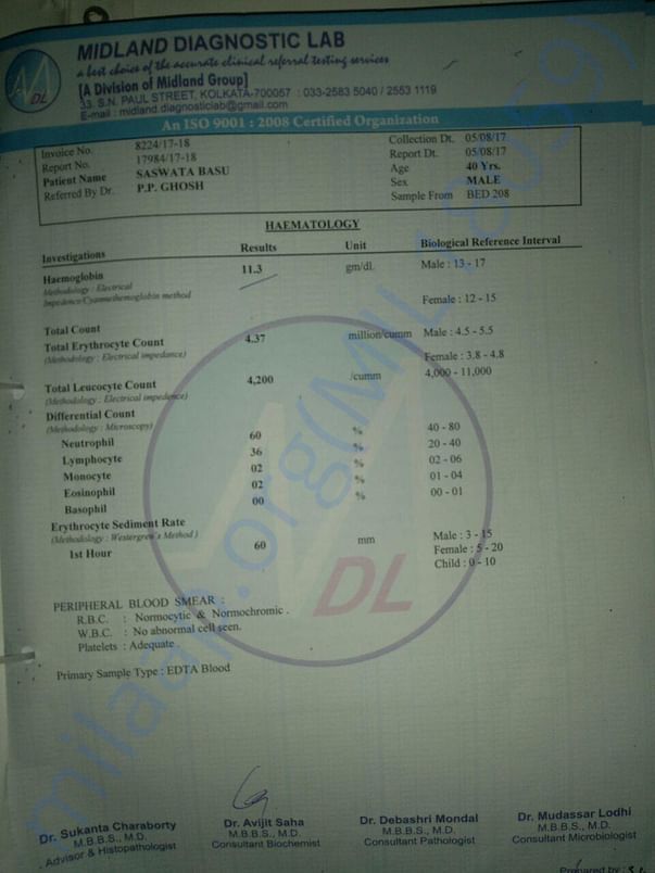 Second Haemotology report