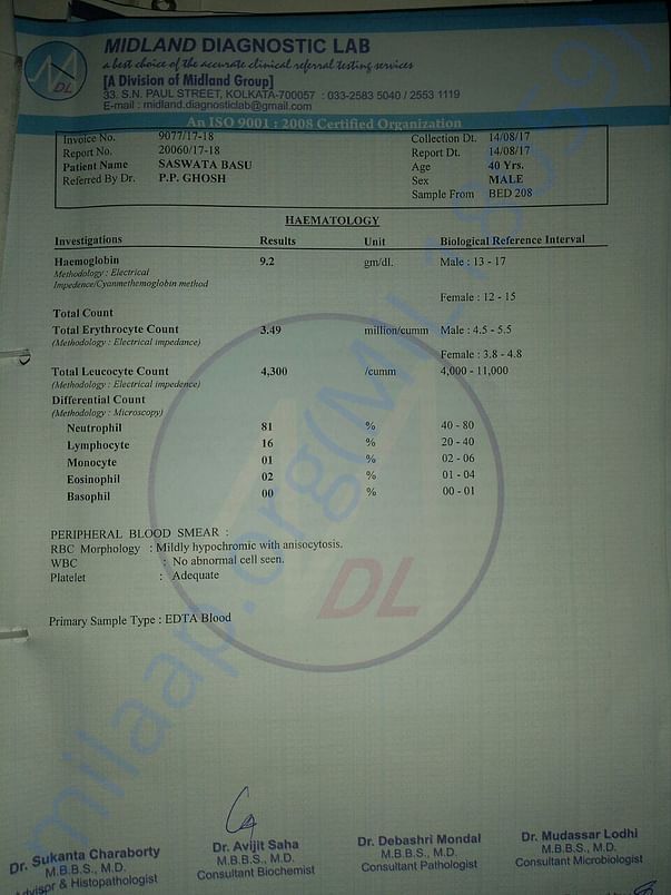 Last Haemotology report before release