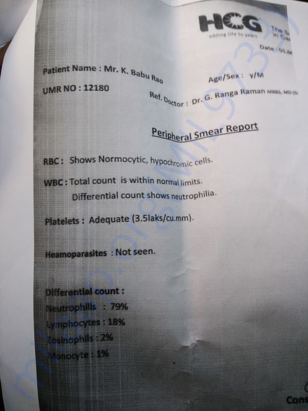 Reports