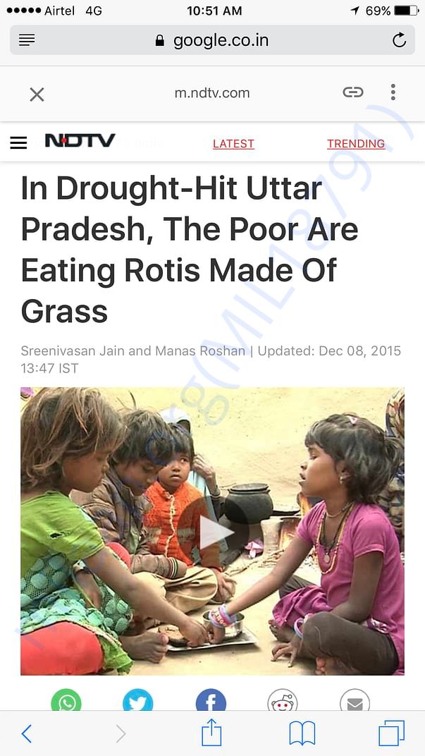 Poor eating the grass
