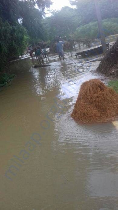 Location: Arariya