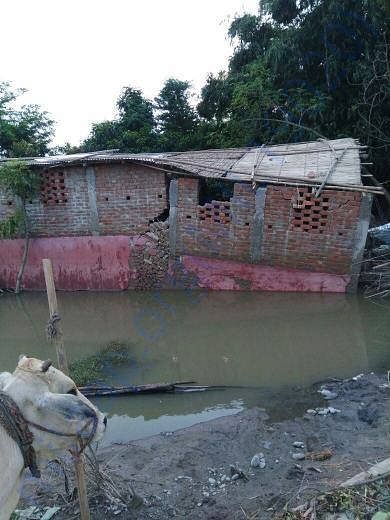 Location: Arariya