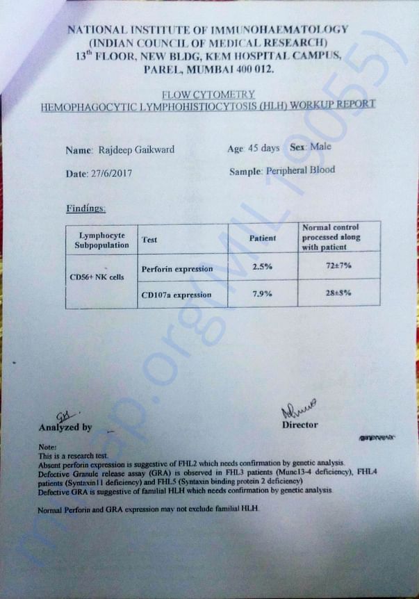 Premiery HLH Report
