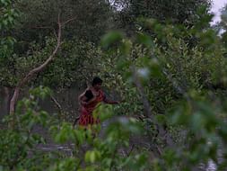 Tiger widows risk life for living, help set up their own business