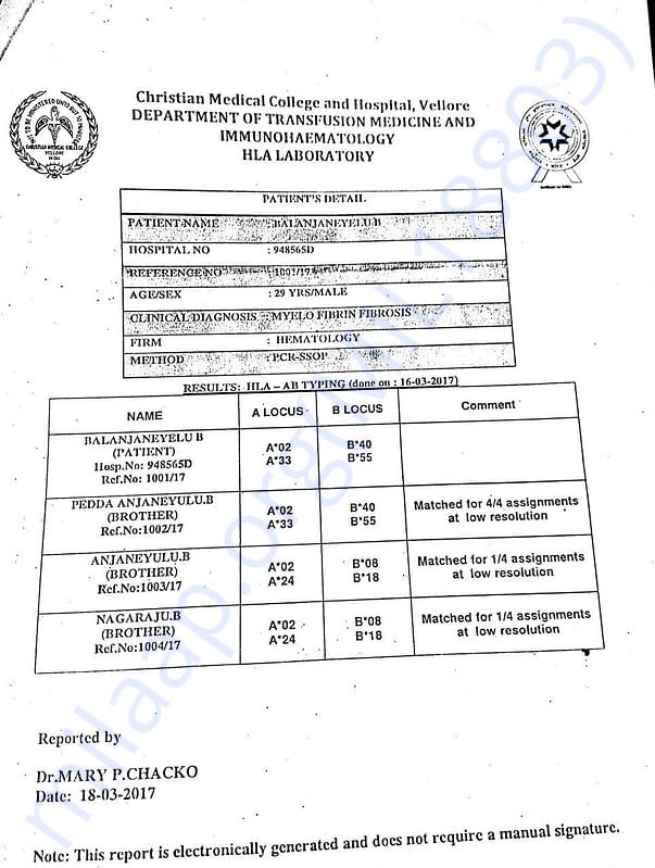 IMMUNOHAEMATOLOGY Report