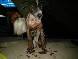 Help A Mother Of Voiceless Babies