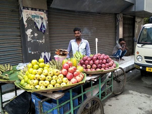 Help me to establish a business and survive