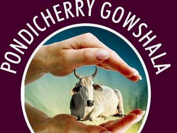 HELP US SAVE COWS