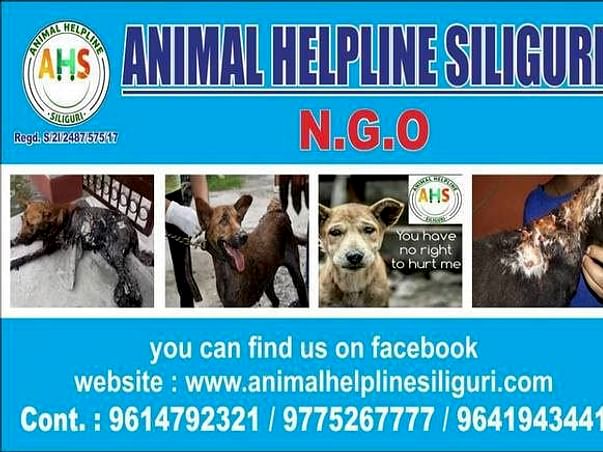 Help Animal Helpline Siliguri to continue to save Stray Animals