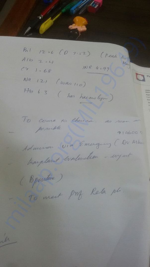 Report 8
