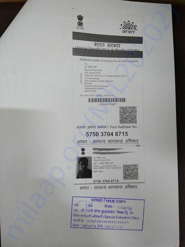 Aadhar Details