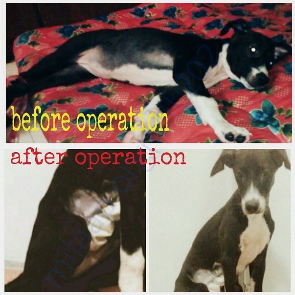 Midnight before and after surgery