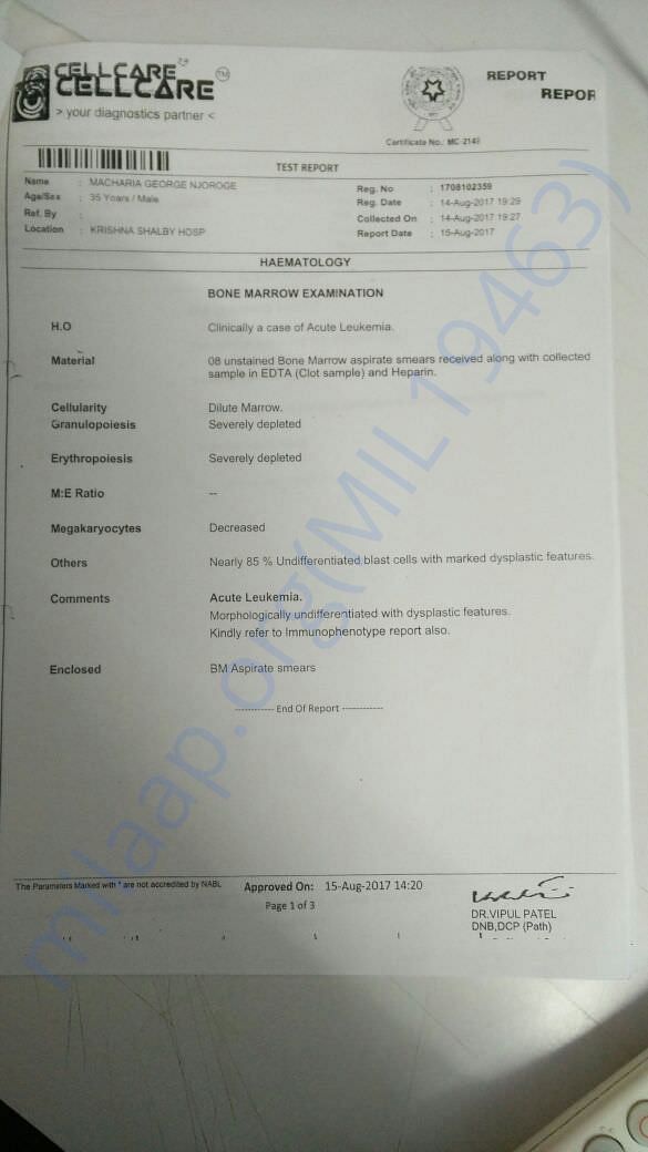The haematology report