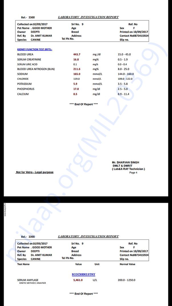Kidney value test 1 (10 Sept)