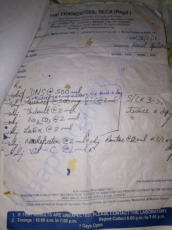 Old prescription