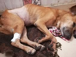 Help 12 yr old Godmother fight renal failure as she refuses to give up