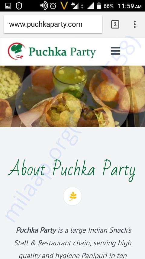 Our official website www.puchkaparty.com