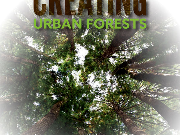 Plant Trees to bring back Glorious GREEN Cover